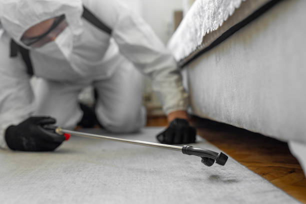 Professional Cockroach Control technician working in Park River, ND